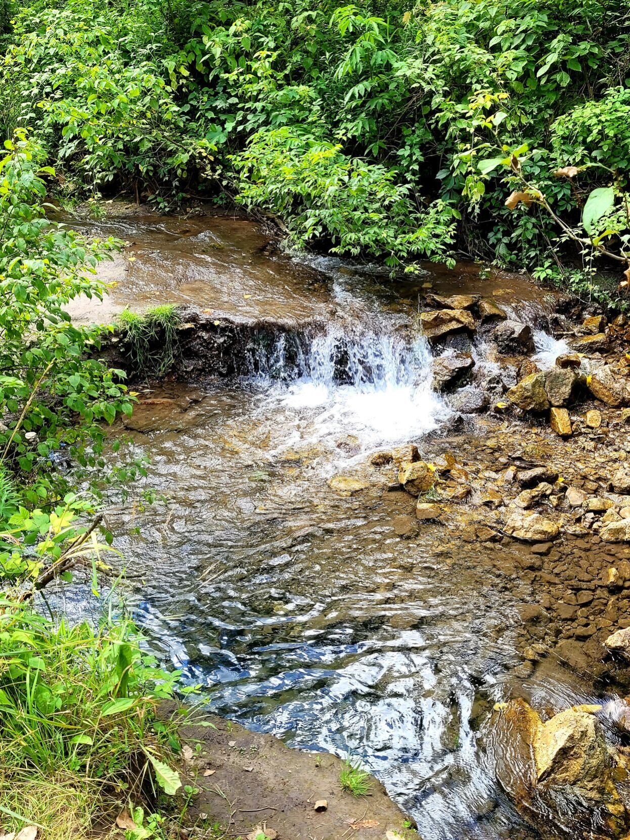 Whitewater State Park
